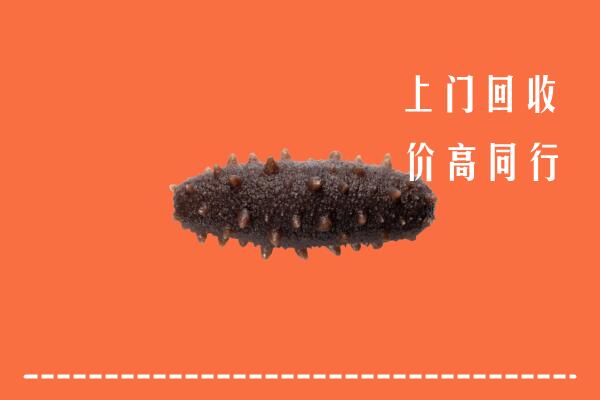 高价求购：宜春回收海参