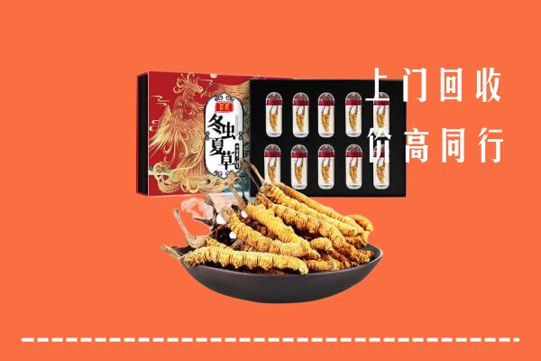 宜春回收虫草